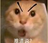 :_1: