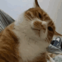 :1: